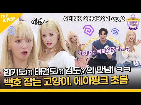 (APINK CHOBOM ep-2) “아기 MC 백호 살려~! ㅠㅠ” 호랑이 잡는 고양이, 에이핑크 초봄 (ENG sub)