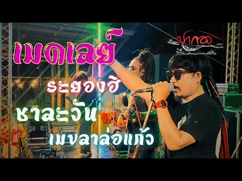 เมดเล่ย์ ปากอง【COVER VERSION】ระยองฮิ l ชาละวัน l เมขลาล่อแก้ว￼