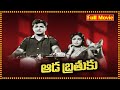 Aada Brathuku Telugu Full Movie N T Rama Rao Devika Telugu Movies