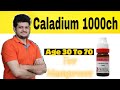 POWERFUL Caladium 1000 A Homeopathic Medicine For Men Power How To Use