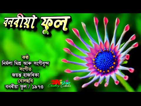 A Phool Phulibor Botore Aahil ( এ ফুল ফুলিবৰ বতৰে আহিল) - by Nirmala Mishra