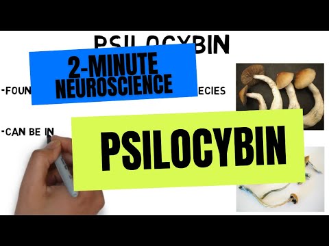 Psilocybin Research and Science