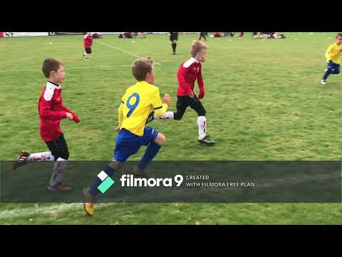 SKN Sint-Niklaas - HRS Haasonk U7