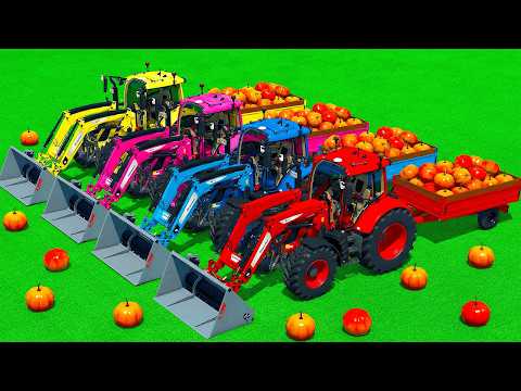 LOAD AND TRANSPORT PUMPKINS WITH FENDT TRACTORS & HARVEST SUNFLOWER – Farming Simulator 25