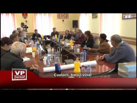 Castorii, bată-i vina!