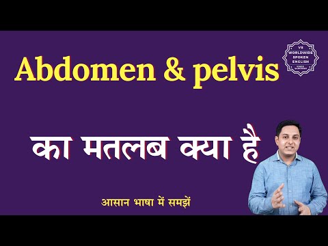Abdomen & pelvis meaning in Hindi | Abdomen & pelvis ka matlab kya hota hai | English to hindi