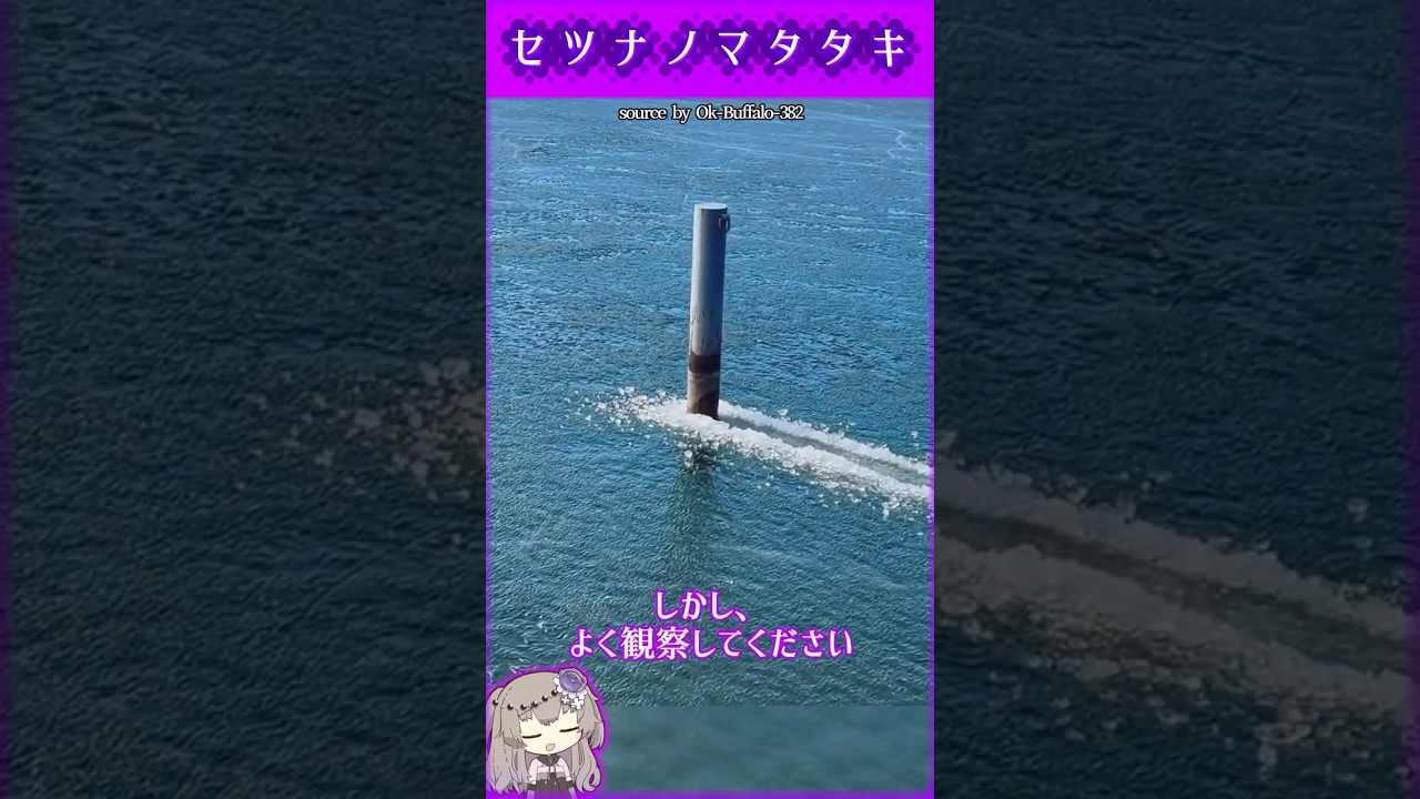 氷の下に戦車？動くポールの謎