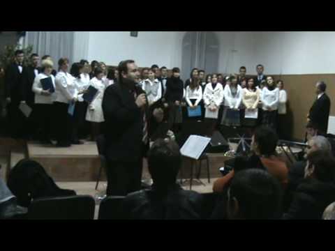 Curtici Craciun 2009 - Sorin Ignat - Mesaj