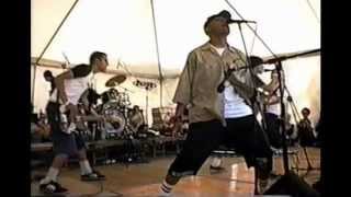 the Dingees live @ TomFest 1998