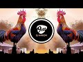 Kombadi Palali DJ Lucky DJ Yash Nsk Remix DJ HARIOM