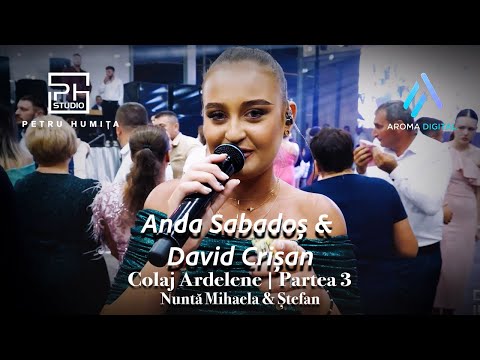Anda Sabados & David Crisan - Colaj Ardelene | Partea 3 | Nunta Mihaela & Stefan