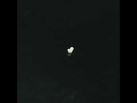 YouTube 썸네일