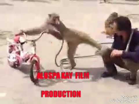 MONKEY  AND THE MAN (ALUSPA...I)