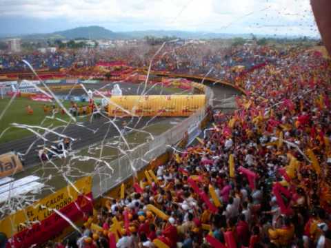 "PEREIRA ES MI PASION LOBO SUR" Barra: Lobo Sur • Club: Pereira