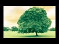 Super8 & Tab feat. Alyna - Perfect Day 