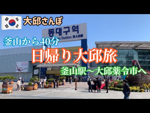 Pegue o KTX da estação Busan para Daegu! O mercado de medicamentos mais antigo da Coreia é um paraíso da medicina coreana [Daegu Stroll] vol.1