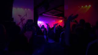 ELLEGARDEN - Middle Of Nowhere Guitar Solo (Live 2025 Cologne, Germany)