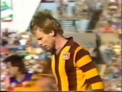 1986 Preliminary final Hawthron v Fitzroy highlights