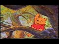 WINNIE THE POOH VHS E Le Canzoni Del Bosco Dei 100 Acri 1999 Come In Mezzo Al Miele