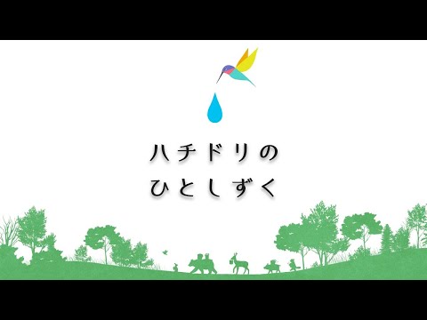 ハチドリの種類 - ハチドリの例
