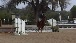 preview picture of video 'Monica and Triton at RMI Hunter Equitation Horse Show in Ocala - 4-25-10'