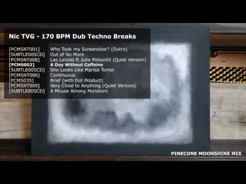 Nic TVG - 170 BPM Dub Techno Breaks