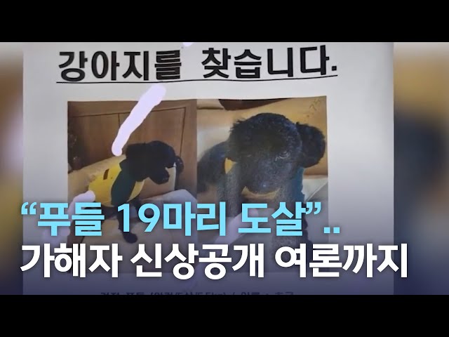 푸들 19마리 도살.. 