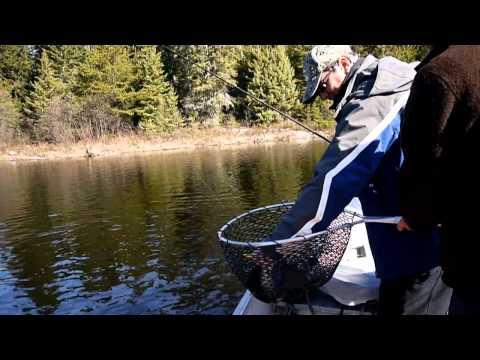 Severní štiky - Ontario