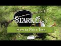 Video preview for How to Pot a Tree