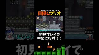初見で棒に当たるな！！！！【目隠しマリオ】