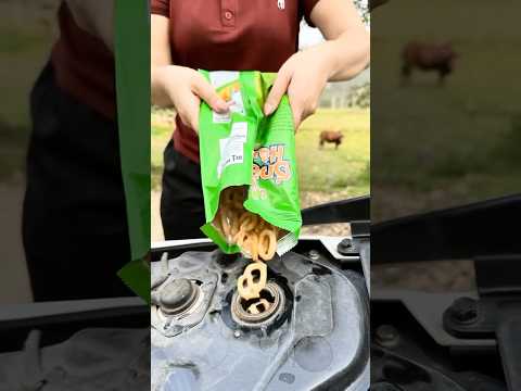 Cô Gái Đổ Bim Bim Vào Xe Máy Để Đi #vuinhon #shorts #funny