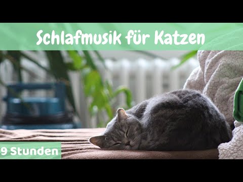 #21 | 9 Stunden 🐱Schlafmusik für Katzen 🐱Entspannende Musik für Katzen und Kätzchen 🐱
