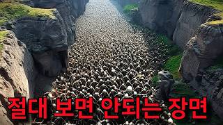 전 세계에서 가장 충격적인 장면이 드론에 찍혔다