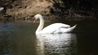 Calming, quench~Beautiful, soothing, refreshing, Meditation Music~stress relief, Relaxation, Sleep