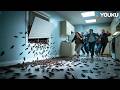 Cockroaches Instantly Swarmed And Devoured The Entire Kitchen Khepri YOUKU MONSTER MOVIE