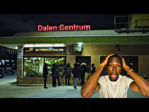 KURDISH FOX DISS? Pékénio - PRATA (ENGLISH LYRICS) | AMERICAN REACTS TO SWEDISH RAP