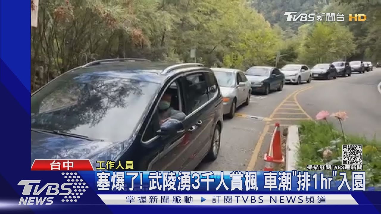 塞爆了!武陵湧3千人賞楓 車潮「排1hr」入園