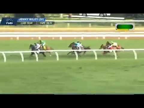 الفرس Regal Glory ‏ابنة الفحل Animal kingdom ‏وحفيدة الفحل مور ذان ريدي