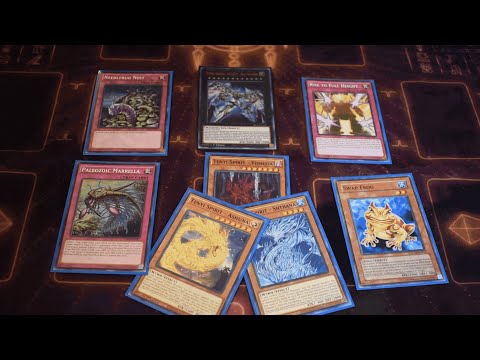 Tenyi Paleo Frog Deck Analysis (Toilet Paper)