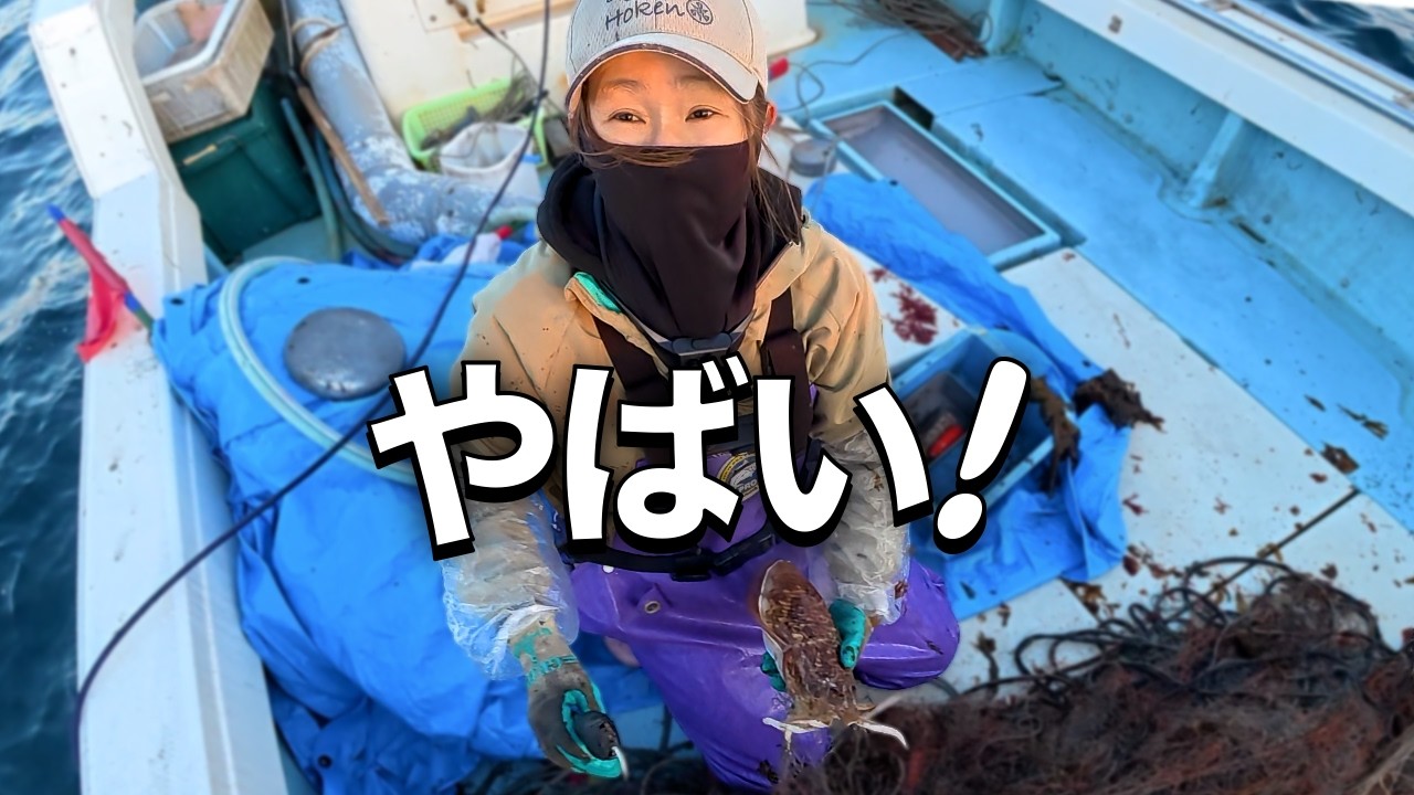 大不漁の建網漁…救世主はイカ！