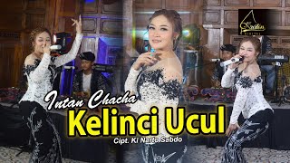 Download lagu Intan Chacha - Kelinci Ucul mp3