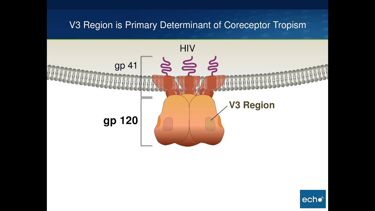 Testing for HIV Coreceptor Tropism