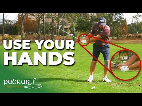 Hands and Arms Control The Clubface: Not the Hips and Torso | Padraig Harrington