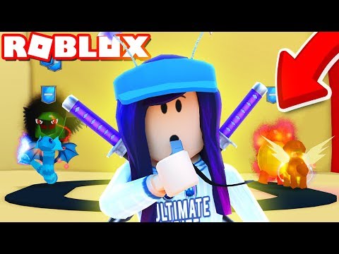 Training My Pets For Battle Roblox Pet Trainer Thủ - 