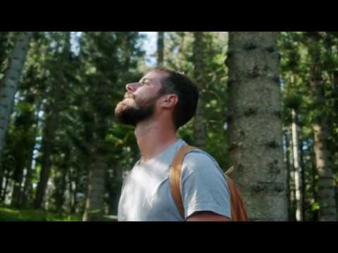 Trilane ft. Tom Noah - Never Forget (Nicky Romero Edit) video