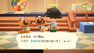 カブ価514ベルを無償で開放中！「往復OK」「視聴者参加型」「あつまれどうぶつの森」