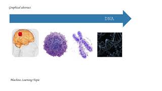 From Cancer to Data | A Scientific Journey