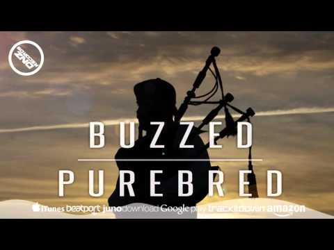 DNZ188 // BUZZED - PUREBRED VOCAL MIX (Official Video DNZ RECORDS)