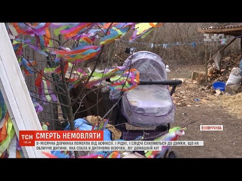 Домашній кіт задушив 9-місячне немовля на Вінниччині