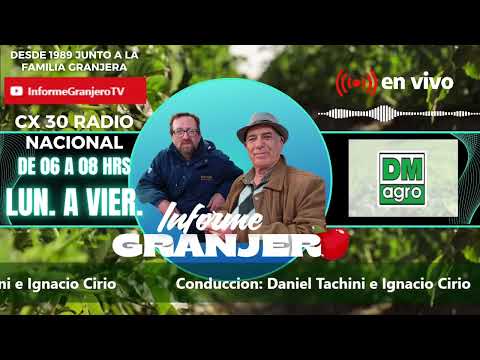 Testimonio desde la zona de la Escobilla (Florida) el productor Darío Pérez tras Ciclón de ayer.